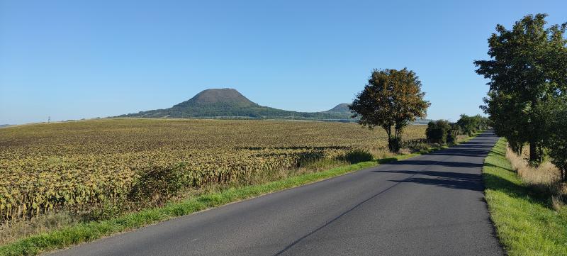 Asfaltka zvolna stoupající mezi slunečnicovými poli, vroubená stromy a křovinami, na levé straně v dálce nezvykle špičatý kopec s jakoby uřízlým vrškem