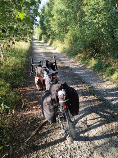 Kolo s brašnami na lesní cestě