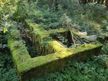 Jakési betonové ohrádky nebo nádržky v lese zcela porostlé zeleným mechem