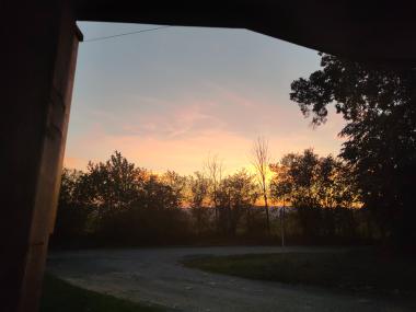 Pohled na barevný západ slunce za křovím u cesty