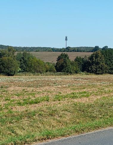 Z krajiny trčí něco jako obří smrk s větvemi jen u špičky