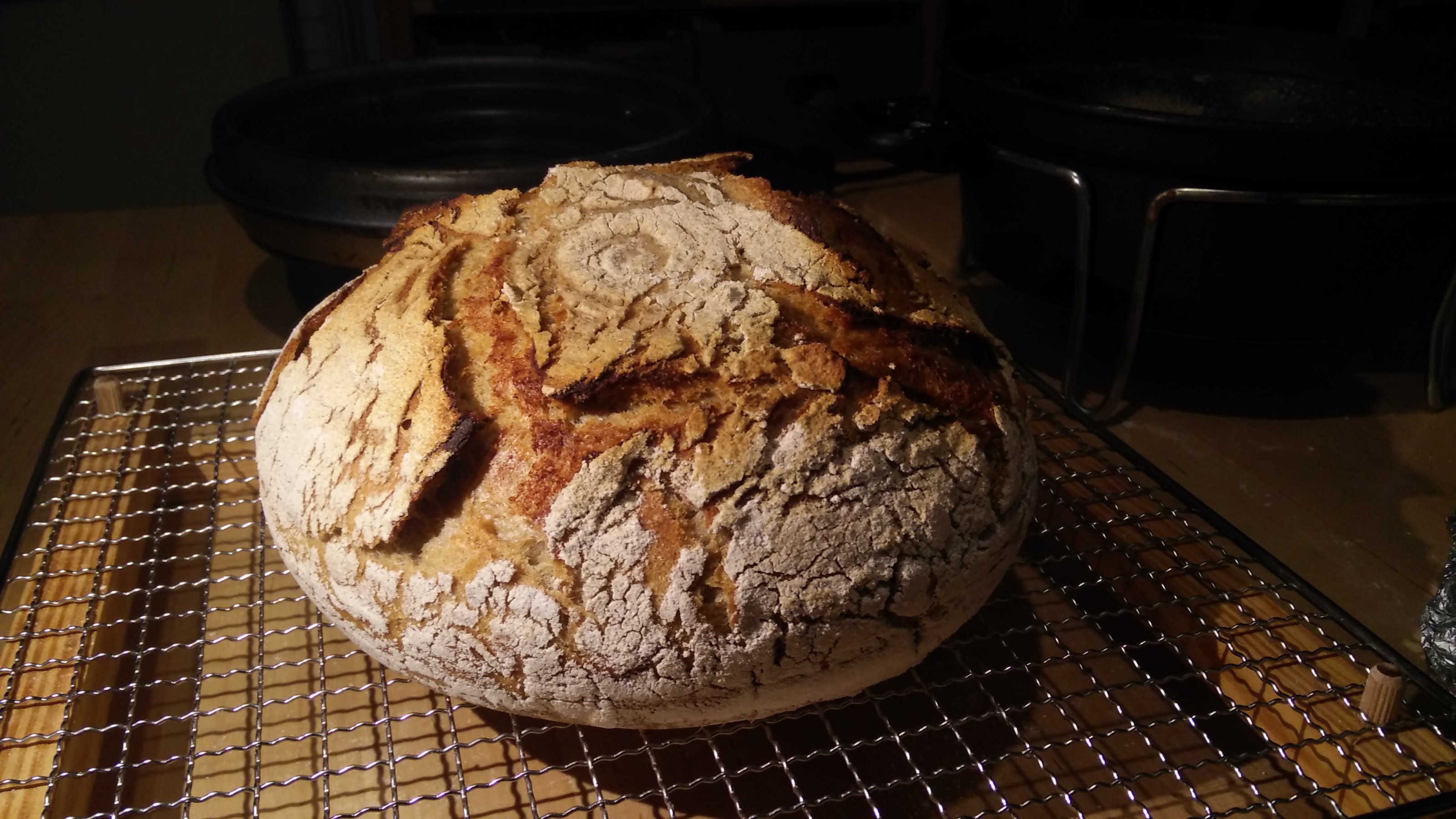 Bread photo data/2020-02-16/2020-02-16%2018.43.27.jpg