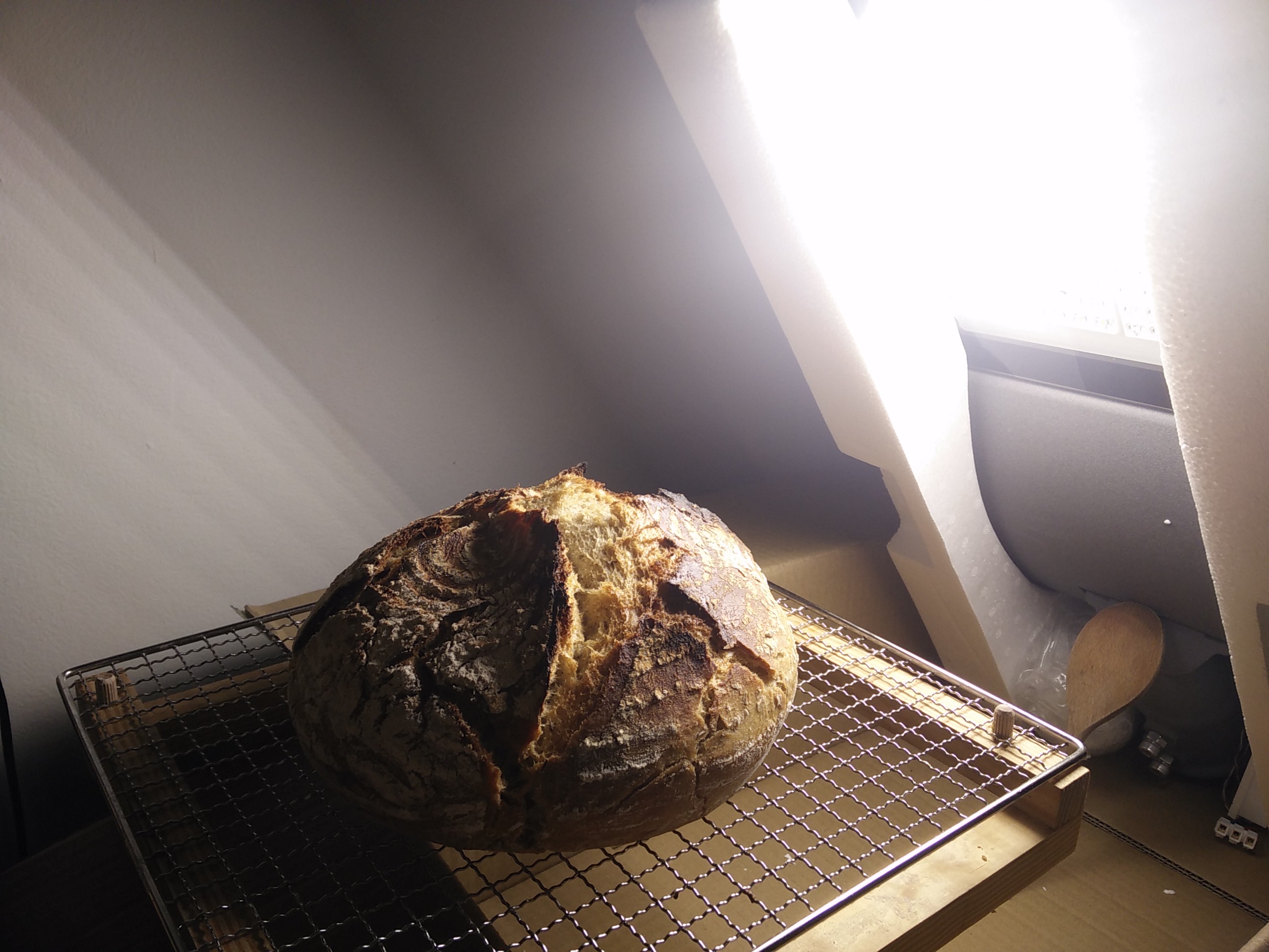 Bread photo data/2020-04-27/2020-04-27%2020.58.44.jpg