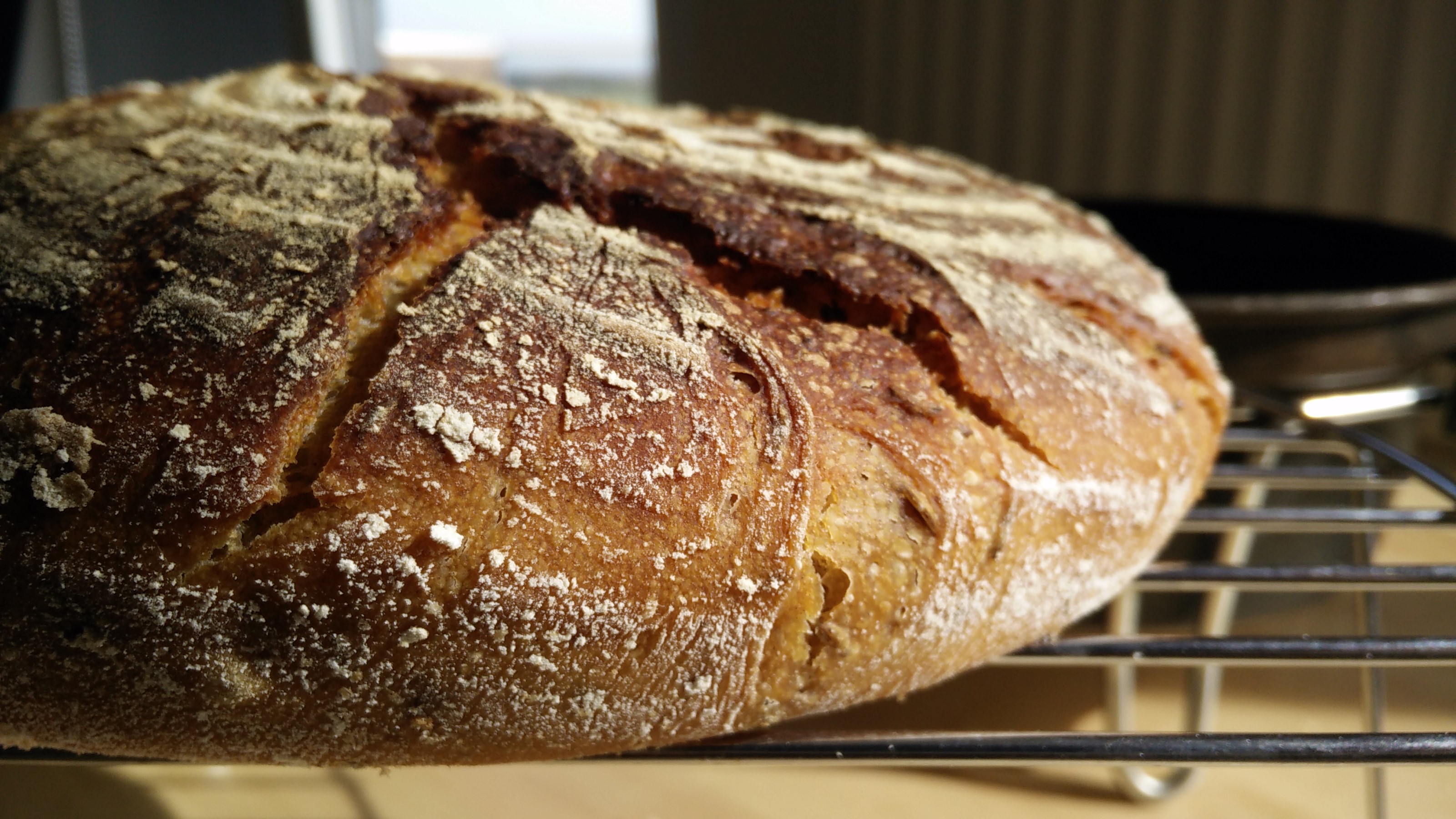 Bread photo data/2020-09-19/2020-09-19%2014.48.23%20cover.jpg