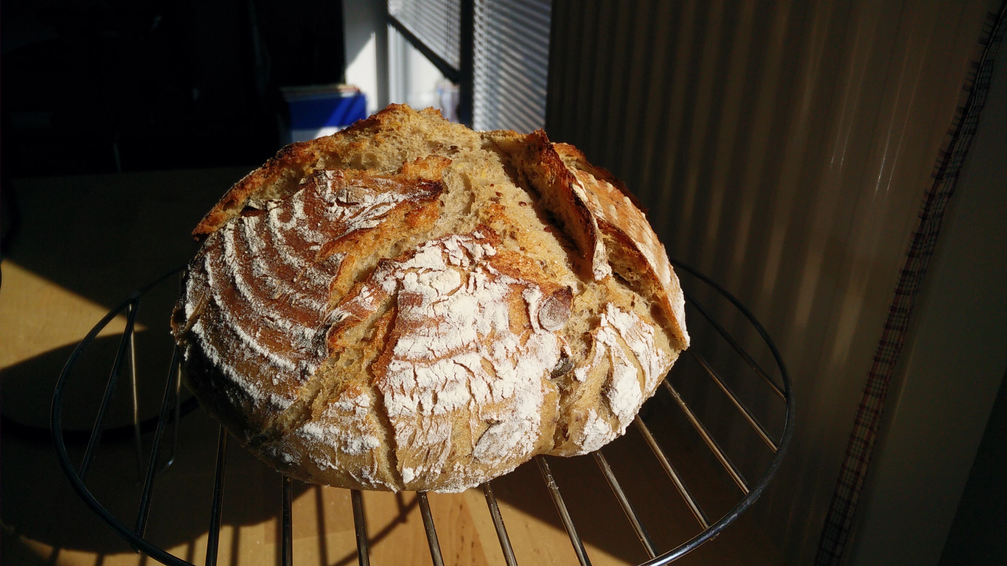 Bread photo data/2020-09-21/2020-09-21%2014.36.29.jpg