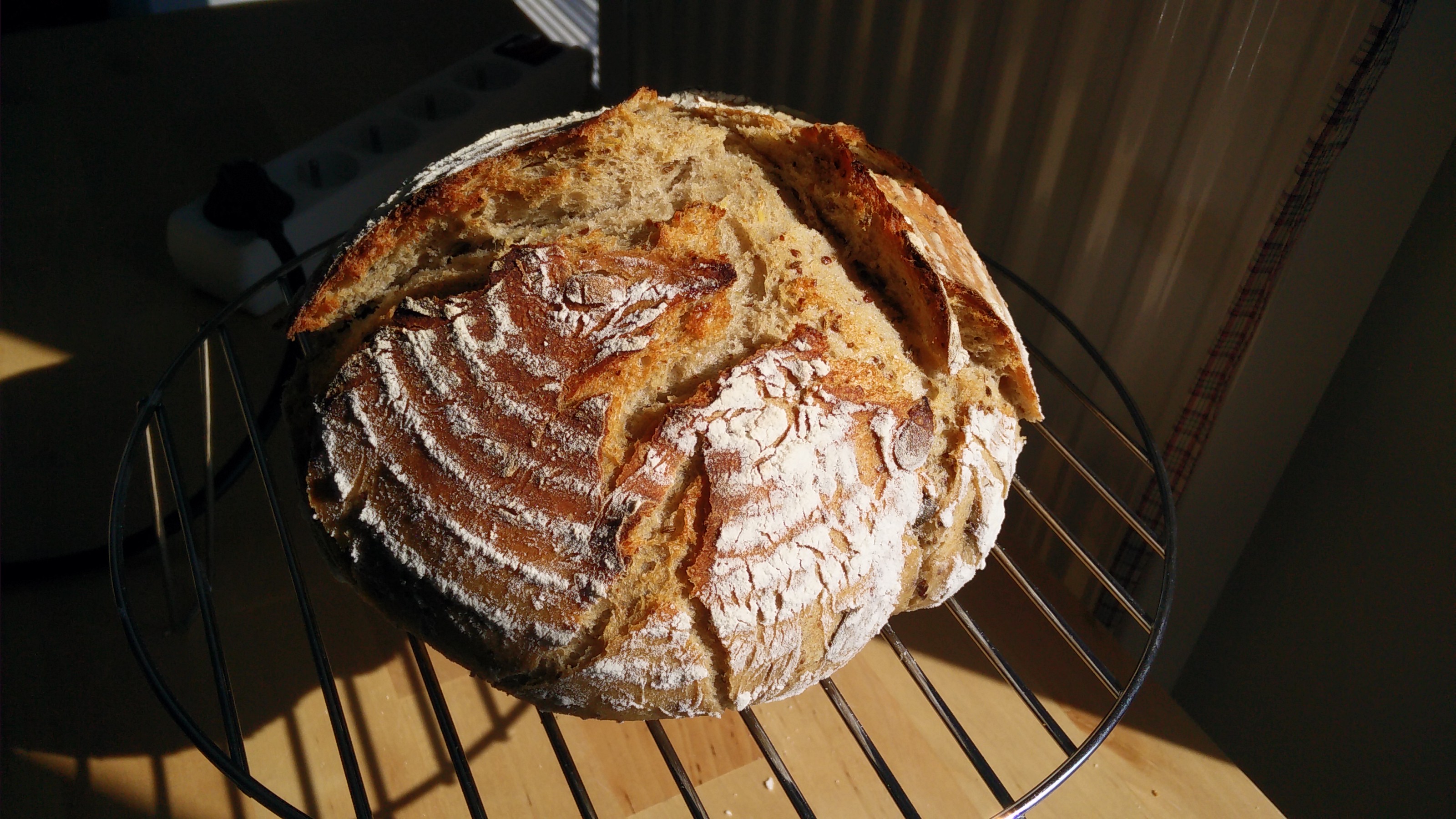Bread photo data/2020-09-21/2020-09-21%2014.36.35.jpg